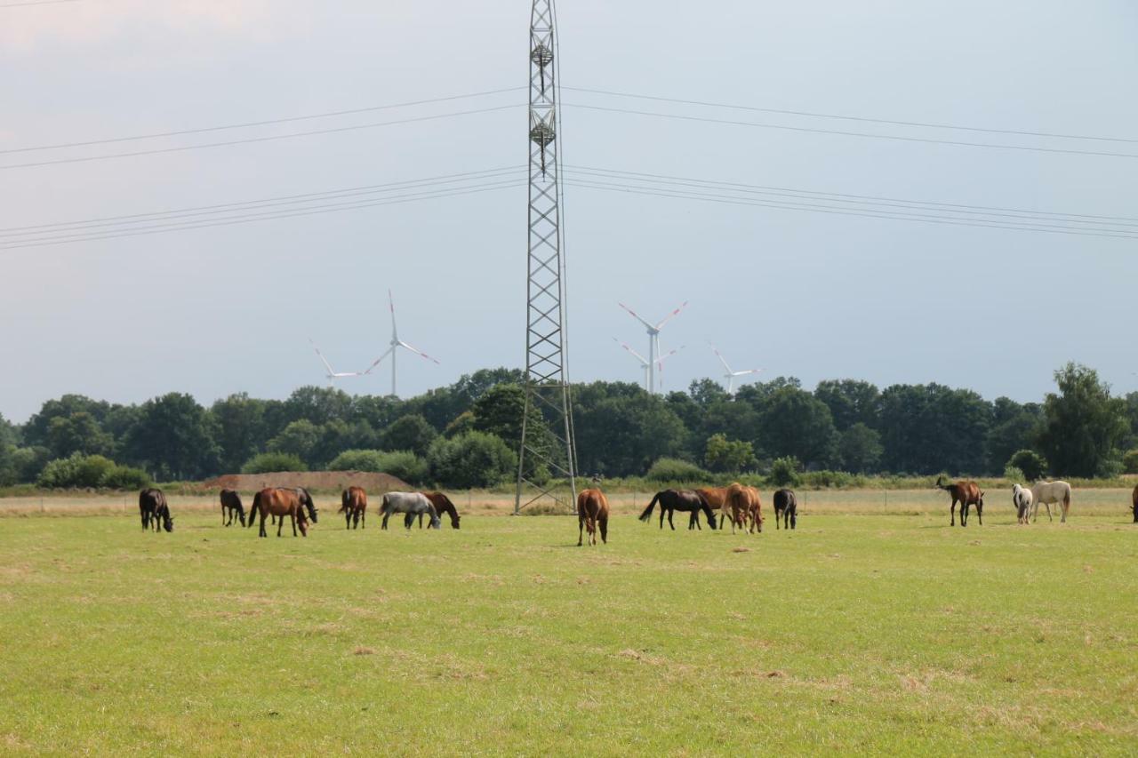 Am Apfelgarten Homestay Schwarmstedt